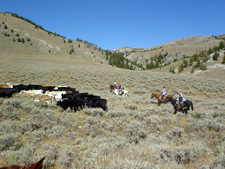 USA-Idaho-Medicine Lodge Cowboy Experience